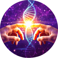 Design sans titre (2)